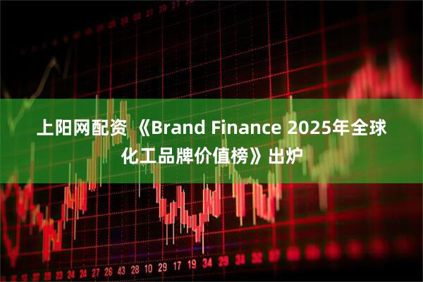 上阳网配资 《Brand Finance 2025年全球化工品牌价值榜》出炉