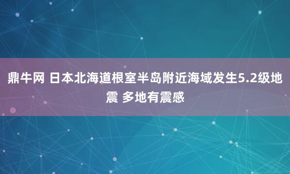 鼎牛网 日本北海道根室半岛附近海域发生5.2级地震 多地有震感